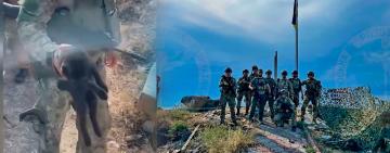 В ОК "Південь" розповіли про долю знайденого на Зміїному котика